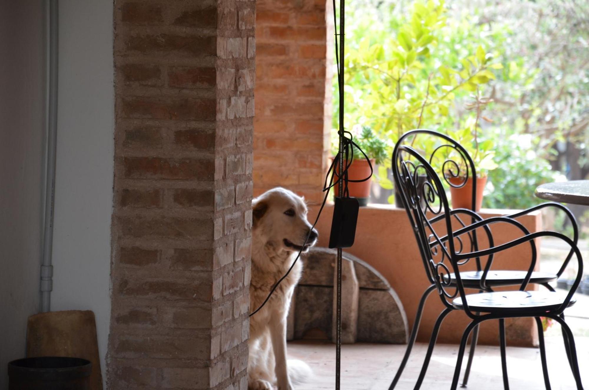 Borgo Piazza Bed & Breakfast Catanzaro Room photo