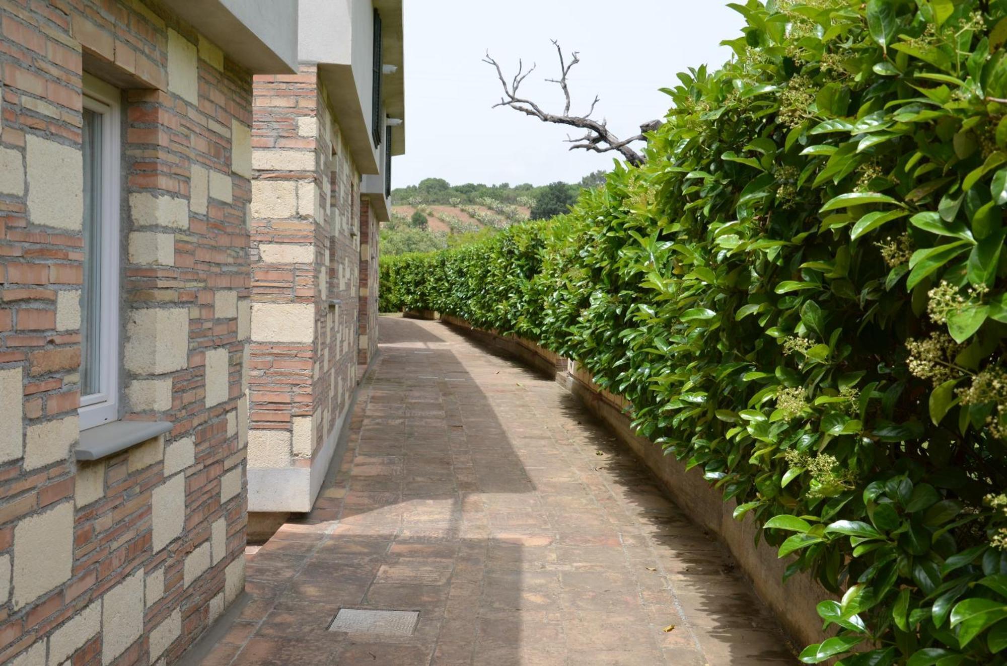 Borgo Piazza Bed & Breakfast Catanzaro Room photo