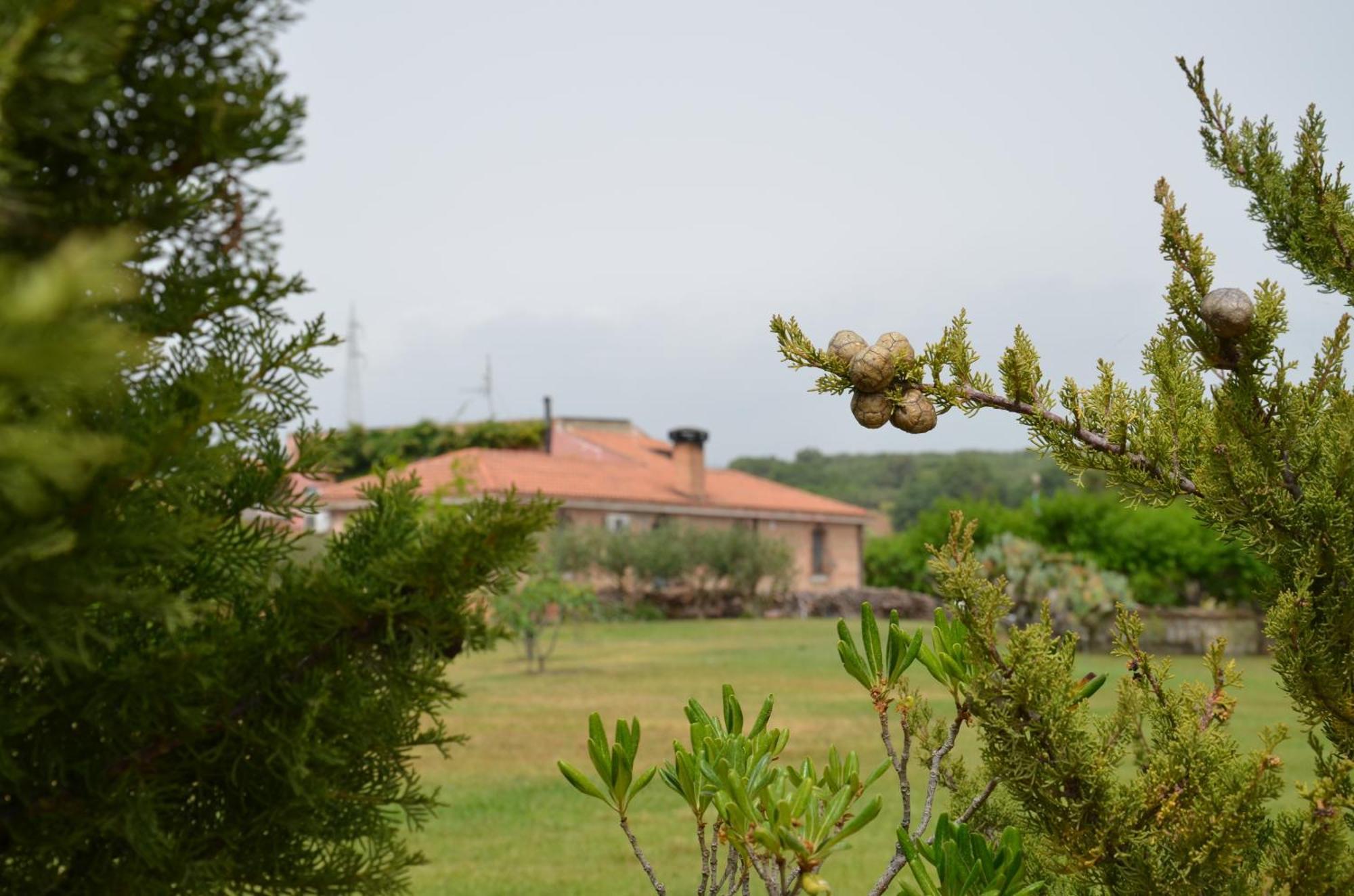 Borgo Piazza Bed & Breakfast Catanzaro Room photo